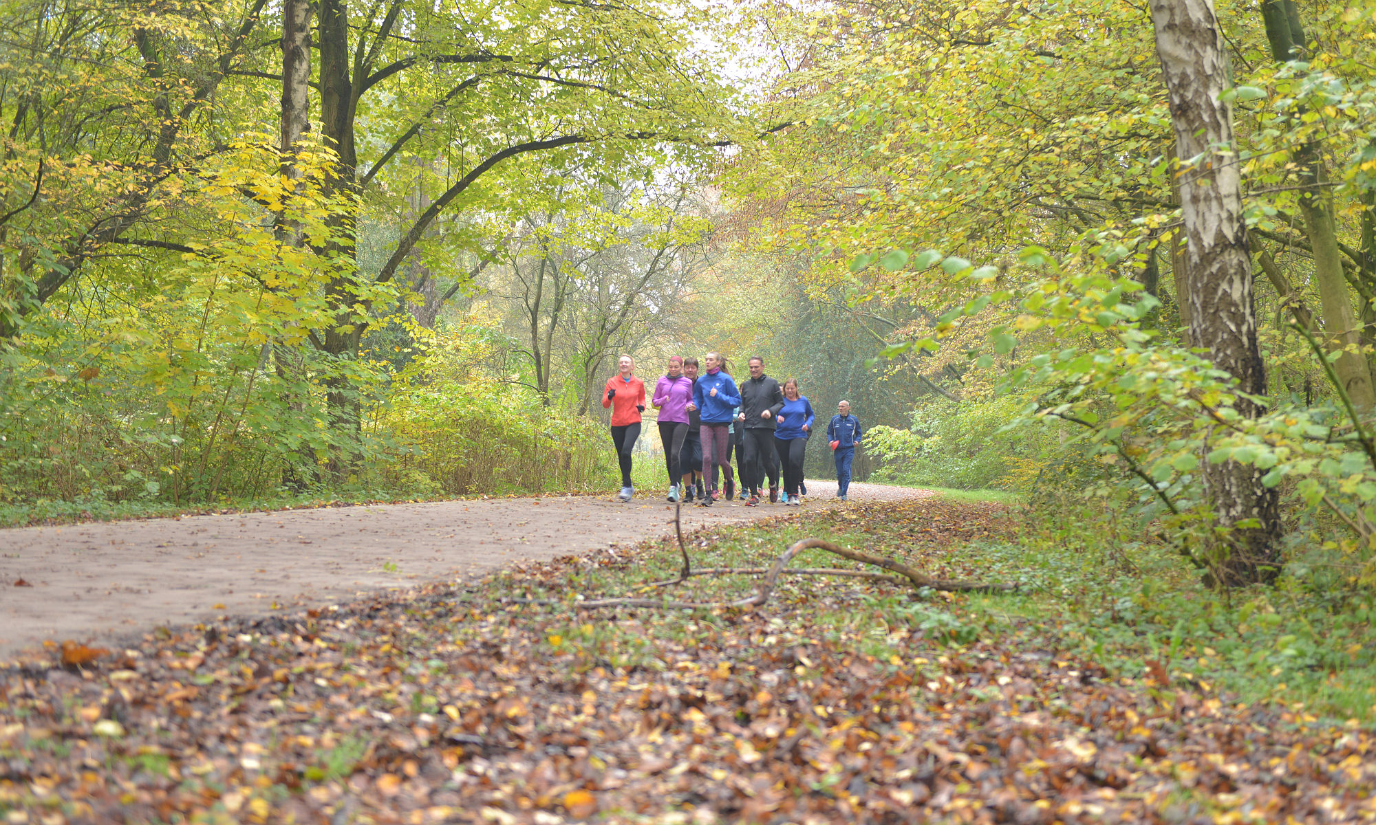 Stadsparklopers trainen en hardlopen in het Stadspark Groningen